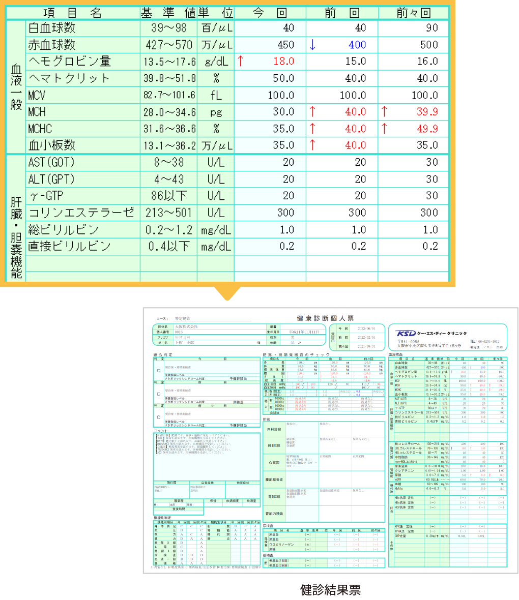 健康状況がひと目でわかる健康診断結果票